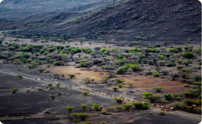 Lokichar Town